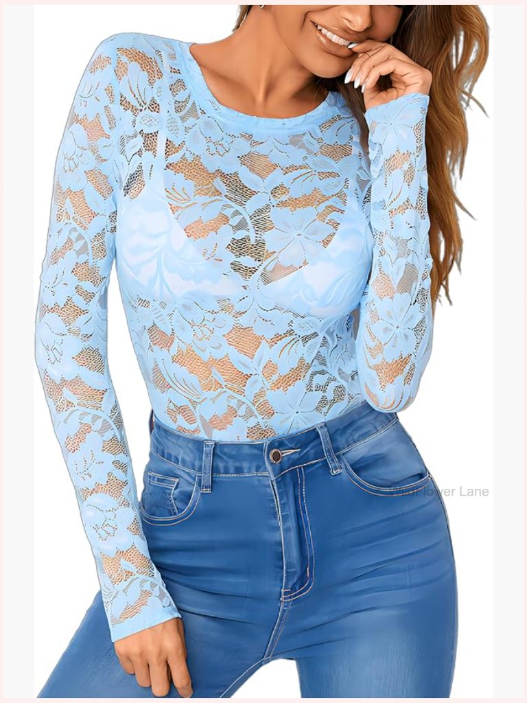 Mesh Lace Round Neck Long Sleeve Sheer Top Blouse